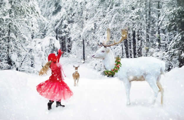 Happy Holidays!!! Happy Holidays!!!
